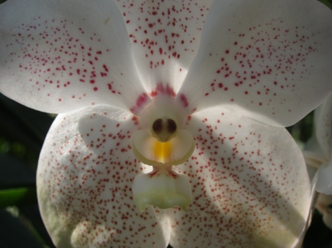 20111213-212107.jpg
