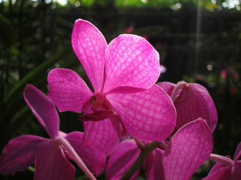 20111213-212123.jpg