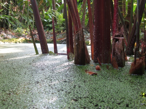 20111213-212144.jpg