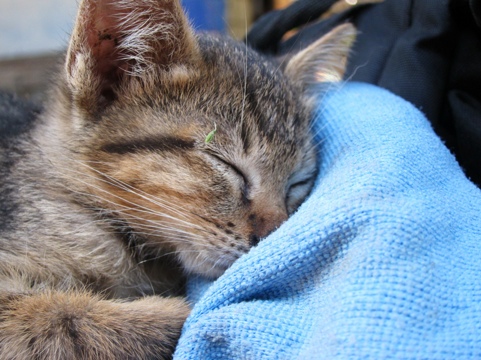 20111213-213540.jpg