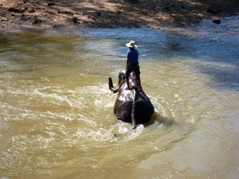 20111213-213926.jpg