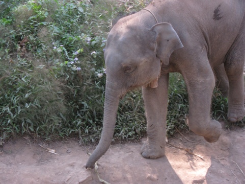 20111213-214412.jpg
