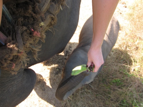 20111213-214427.jpg