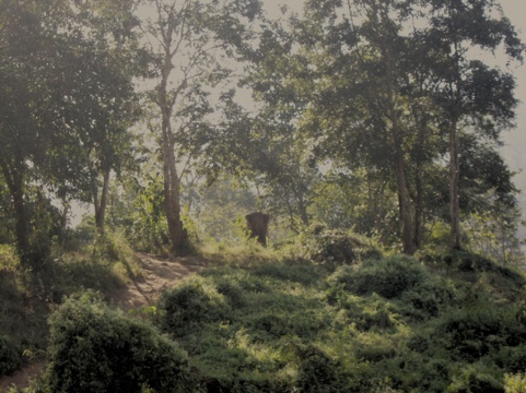 20111213-214446.jpg