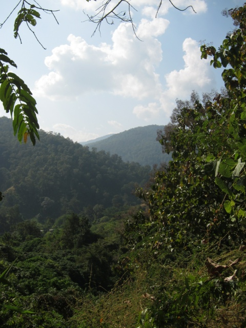 20111213-214640.jpg