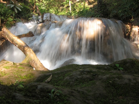 20111213-214649.jpg