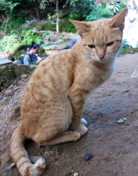20111213-214657.jpg