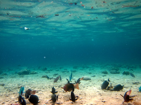 20120206-195411.jpg