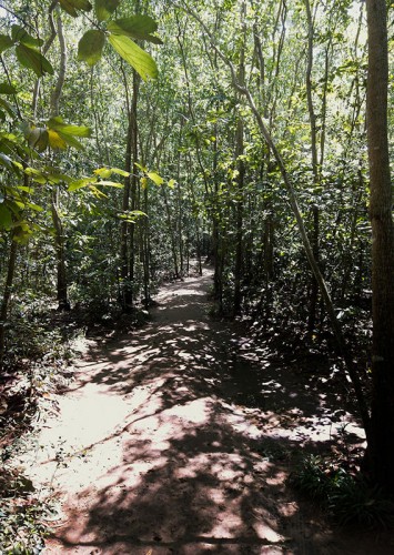 Above the Cui Chi Tunnels